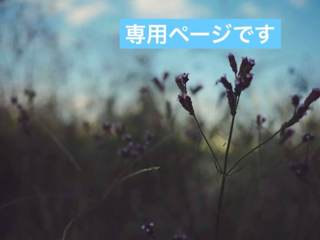 ポメころびページです୨୧