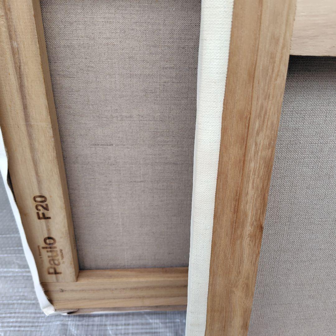 ⑥未使用　絵画　張りキャンバス　F20号　Patilo ,　他　4枚セット