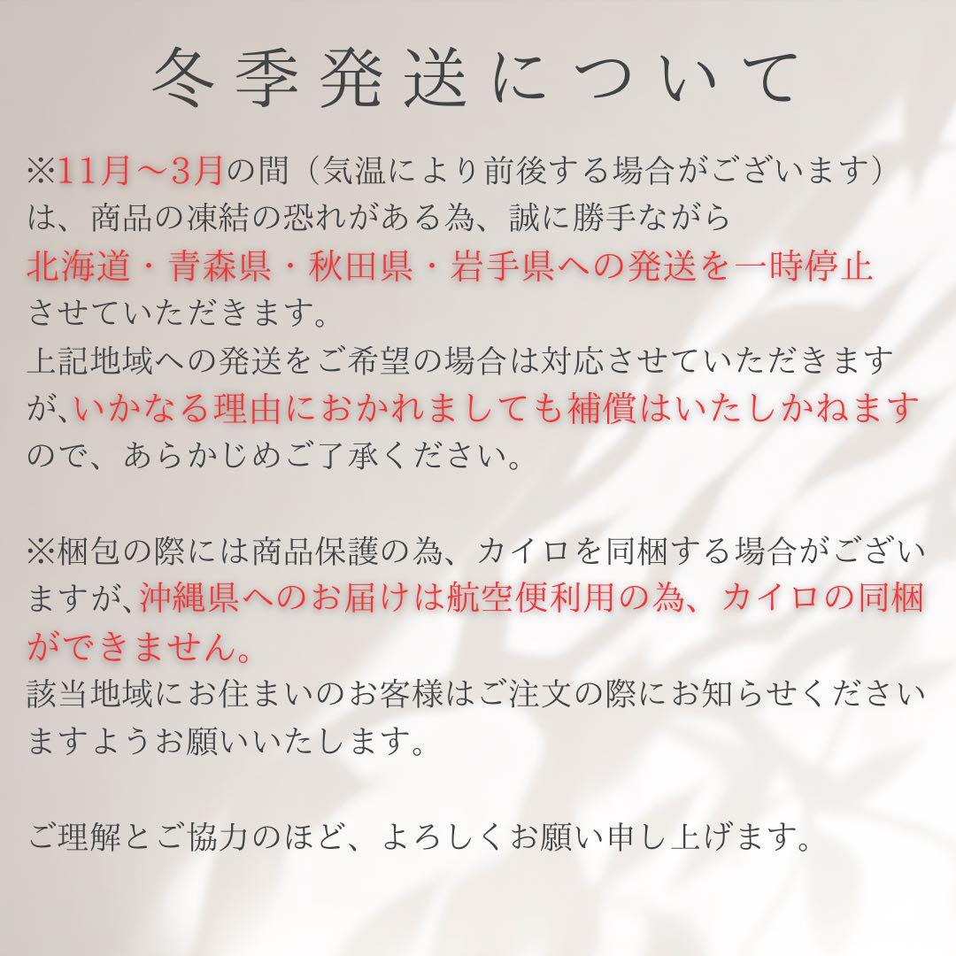 №141 スキンダプサス Sp. NOID