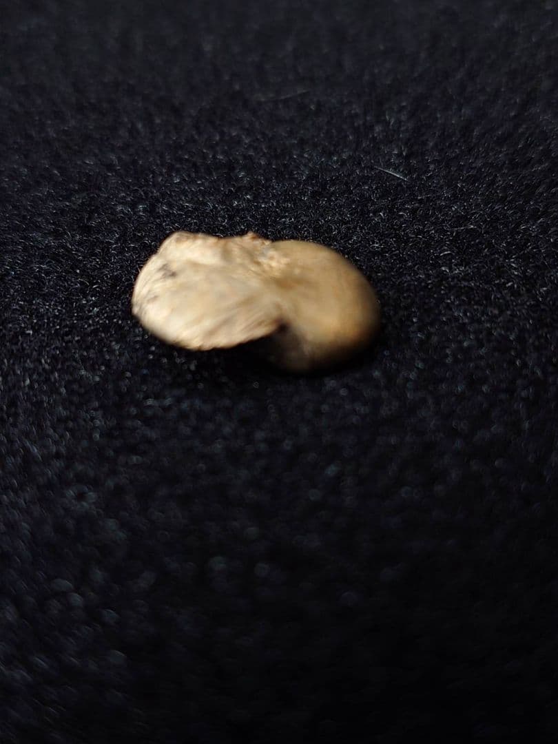 砂金・18金指輪