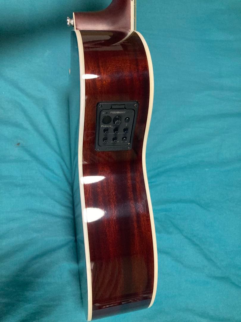 James J-350C/EBU ジェームスエレアコギター