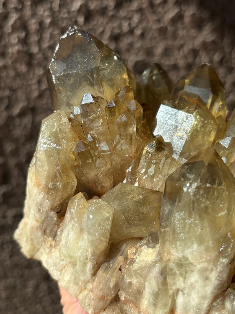 レア　天然　コンゴ産シトリンクラスター　クンダリーニ　ゼウス　1735g.