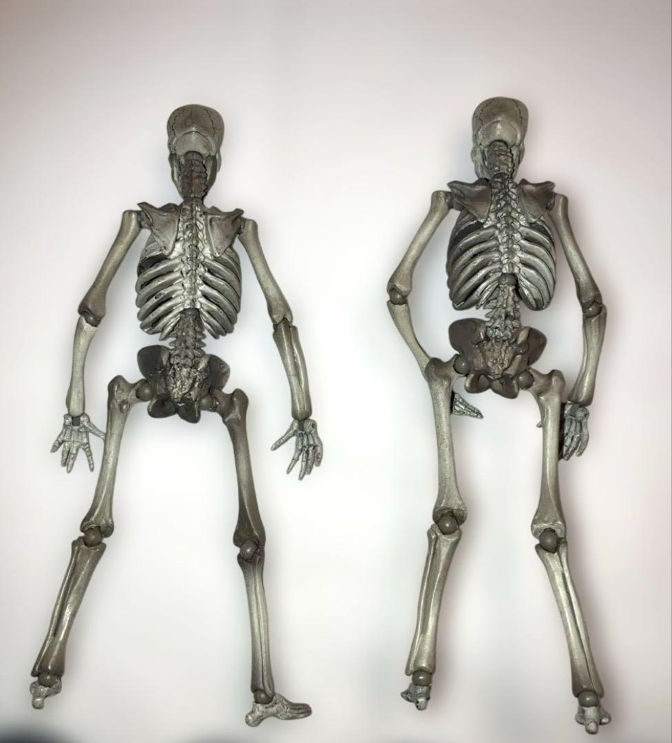 海洋堂　特撮リボルテック　骸骨剣士Ver. 2 開封美品二体セット　箱無し