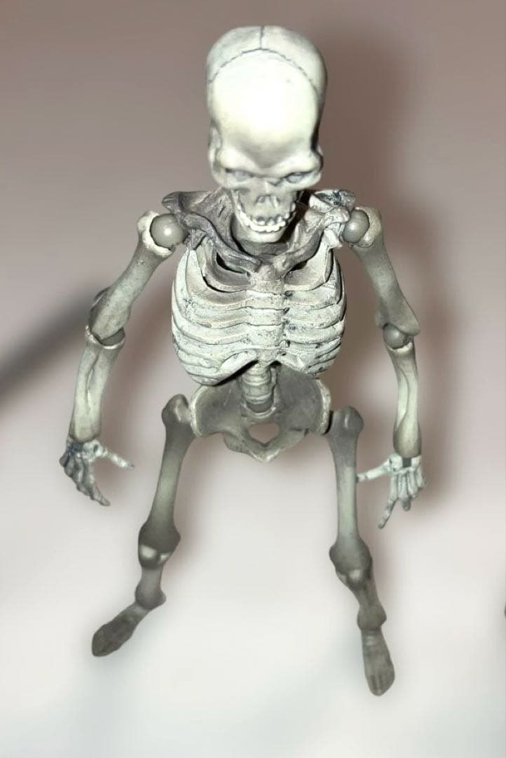 海洋堂　特撮リボルテック　骸骨剣士Ver. 2 開封美品二体セット　箱無し