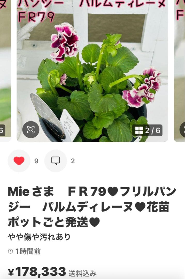 ◆◆Mieさま　ＳＳ10♥神戸べっぴんさん　みはなだ♥合計5ポット