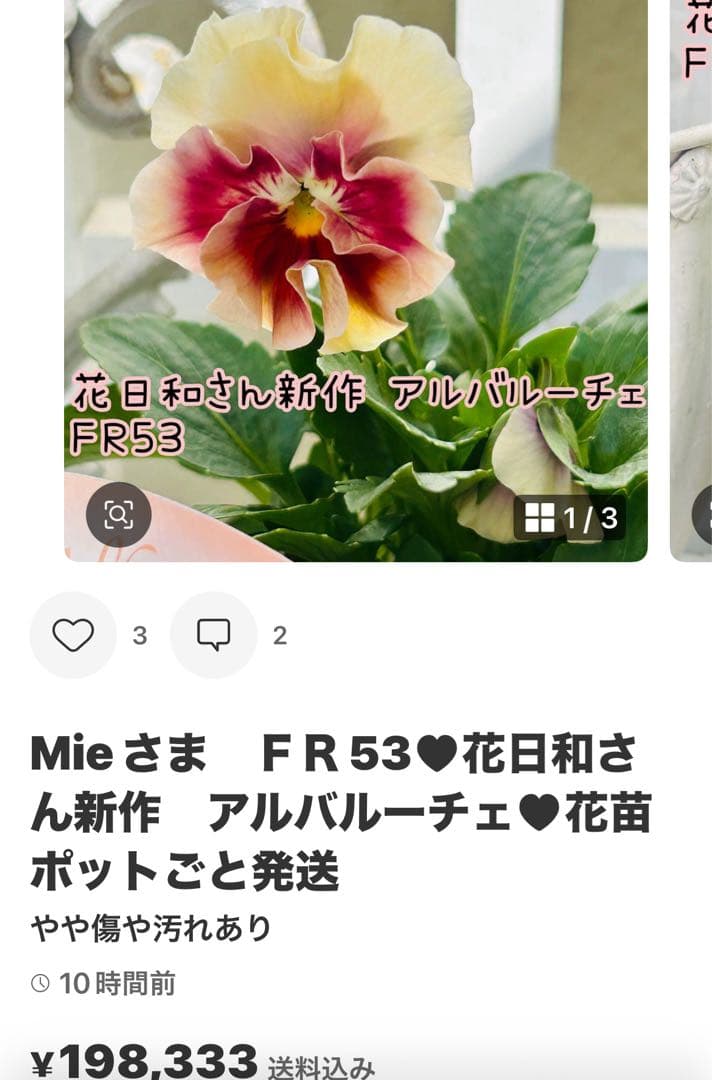 ◆◆Mieさま　ＳＳ10♥神戸べっぴんさん　みはなだ♥合計5ポット
