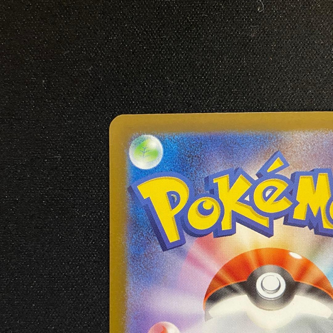 る*す様 ポケモンカードゲーム リーリエの決心 SAR M1L 091/063