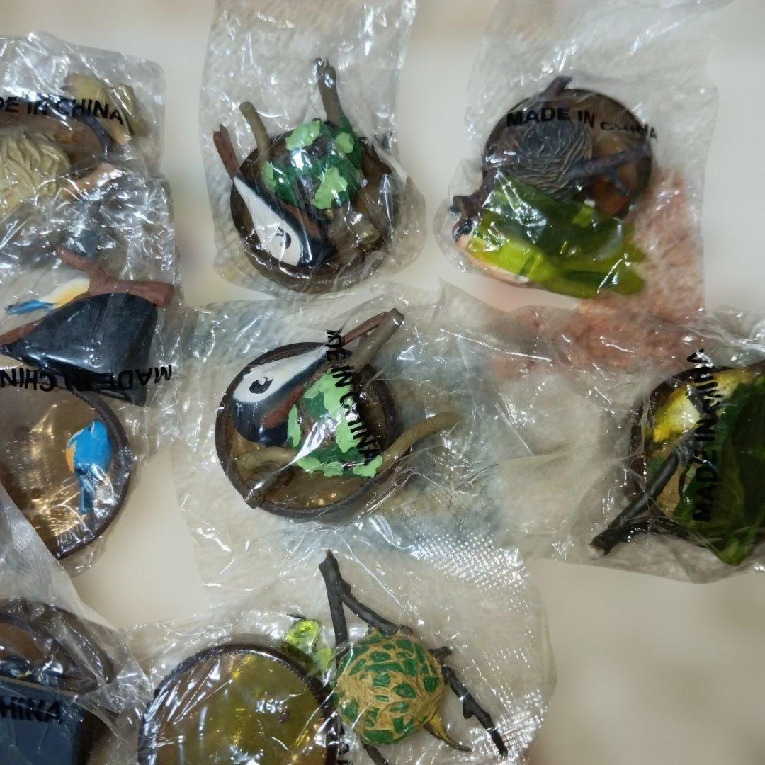 海洋堂鳥の巣