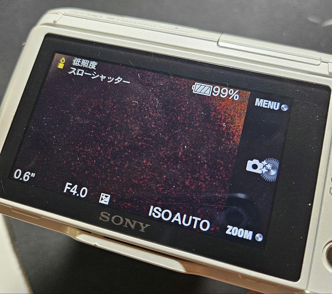 かわいいうさぎSONYnex -f3コンパクトデジタルカメラ