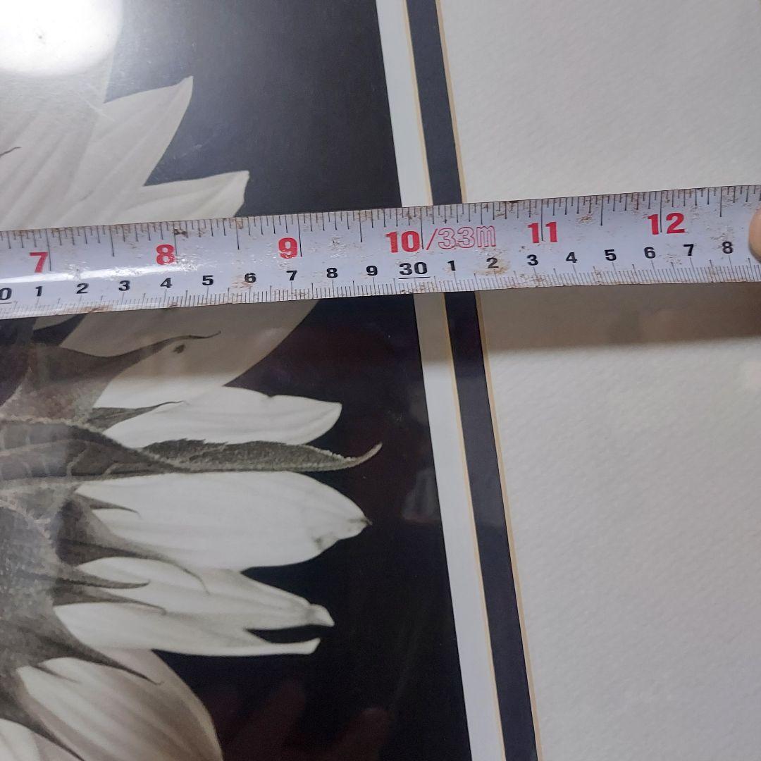 アートフォト作品ひまわり