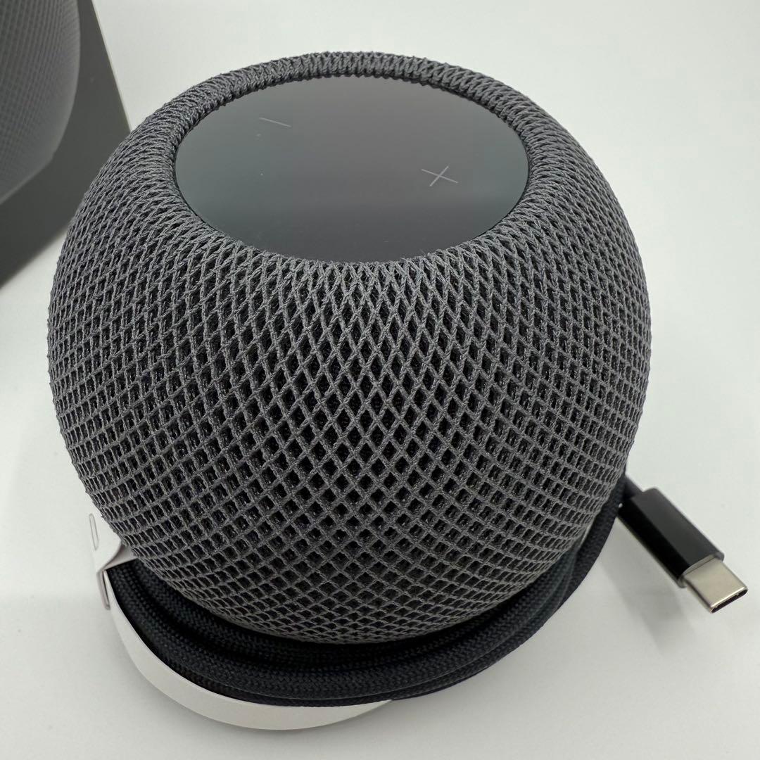 Apple Pod mini スペースグレーA2374 MY5G2J/A