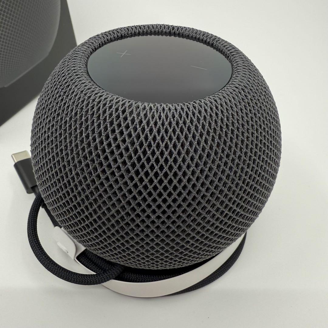 Apple Pod mini スペースグレーA2374 MY5G2J/A