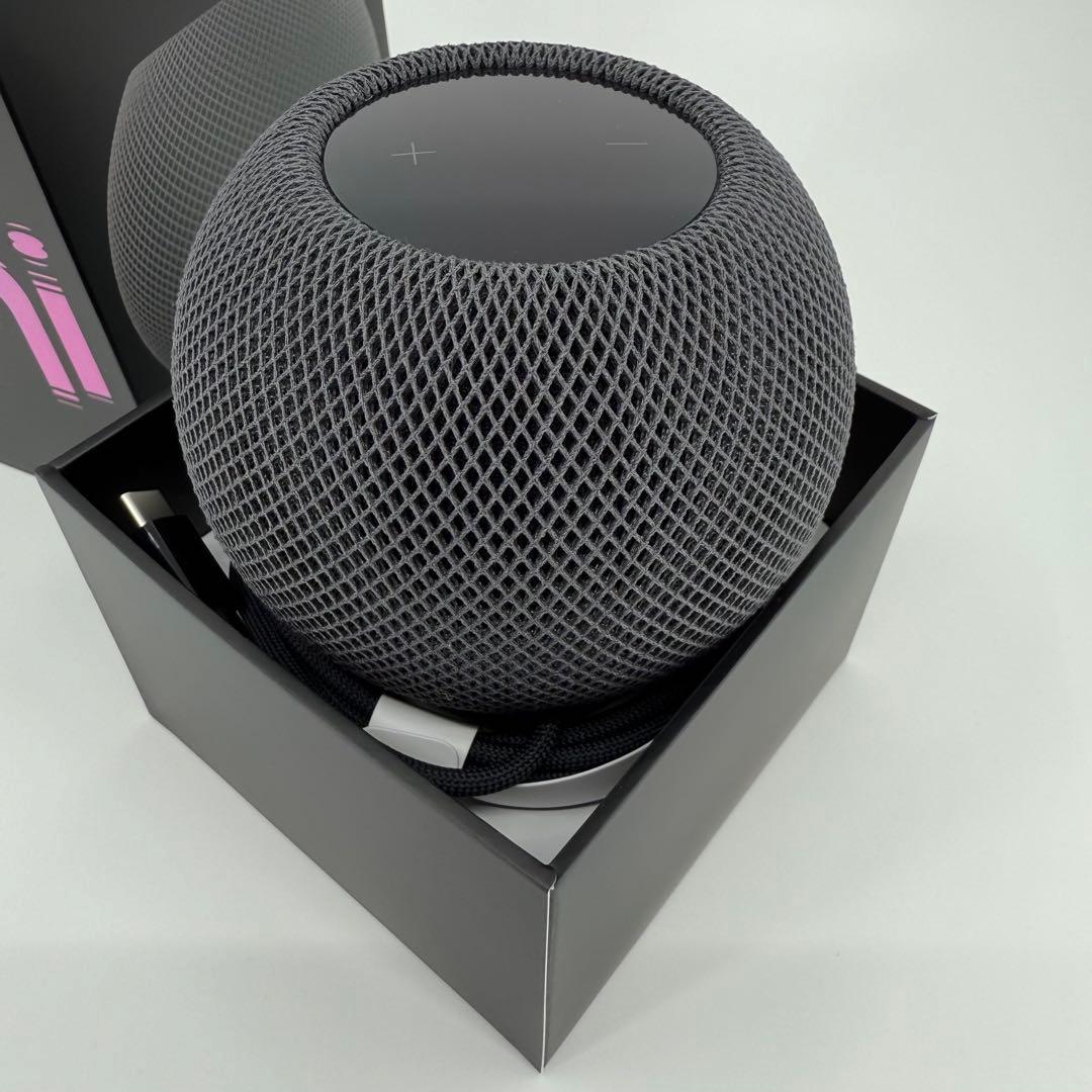 Apple Pod mini スペースグレーA2374 MY5G2J/A