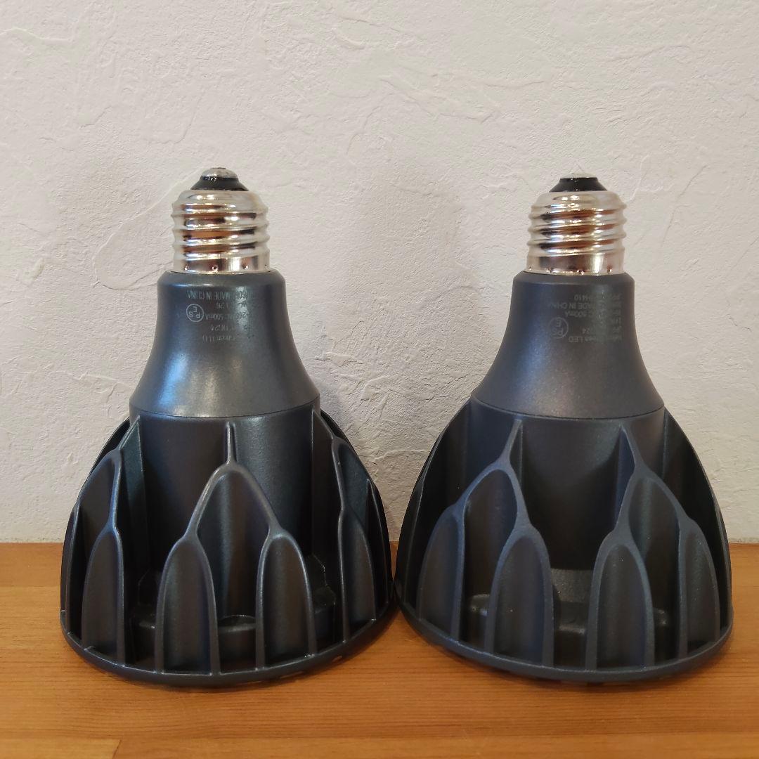 HeliosGreen LED 2個セット (パキポディウム パキプス