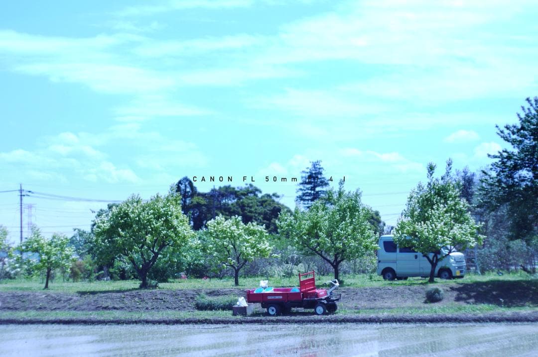 ★美品★ キャノン CANON FL 50mm F1.4 I 単焦点レンズ