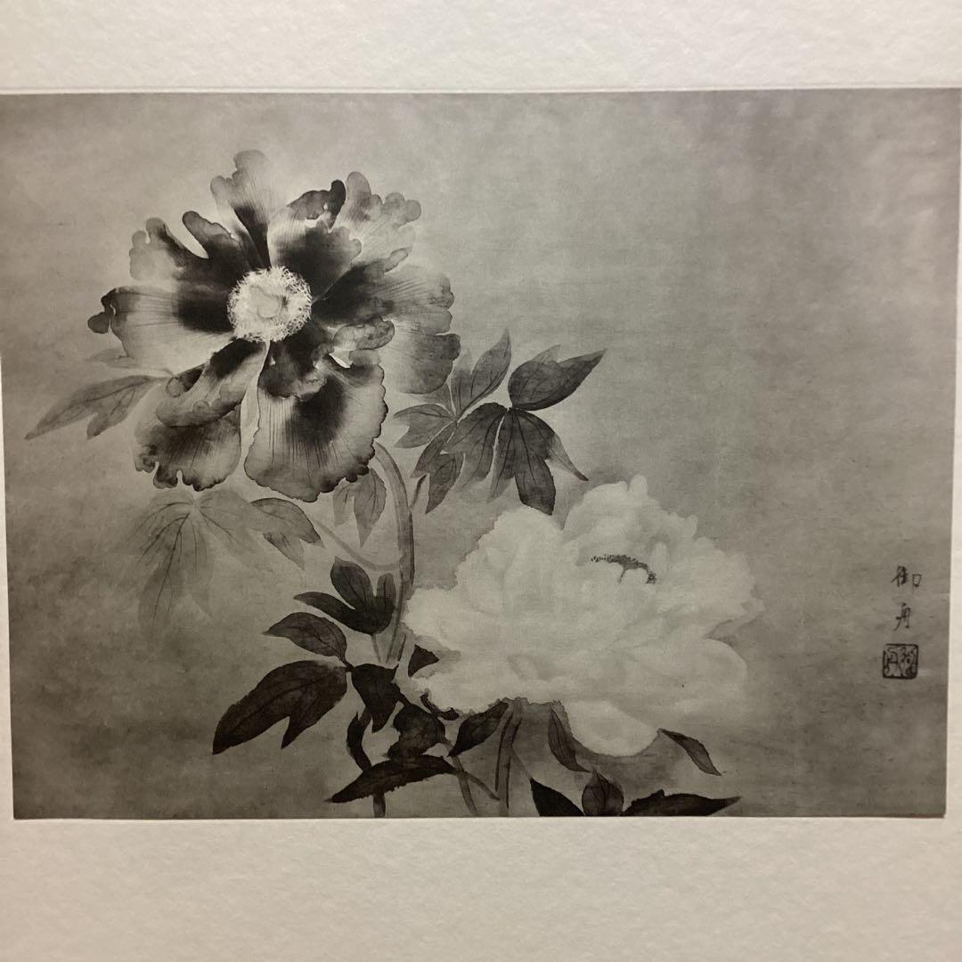 天才画家　速水御舟　作品集大作編　便利堂監修　NO 【50 牡丹双華】画集