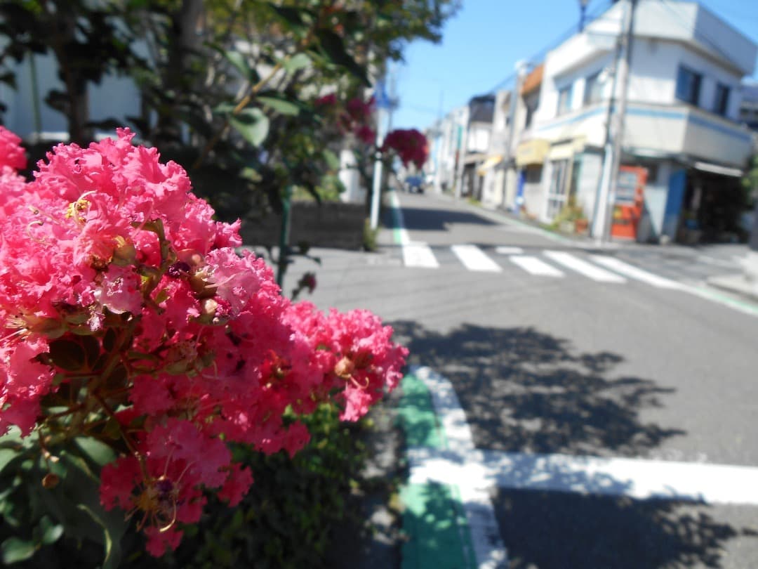 実写美⭕️美品【一部不良_動作確認済】Nikon COOLPIX S3500