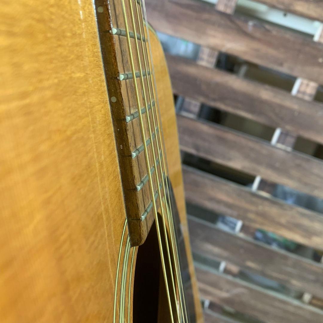 K278 Morris MD-502 アコースティックギター