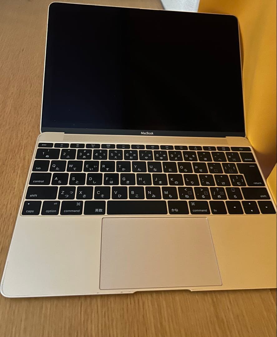Apple MacBook Retina12インチEarly2015 A1534