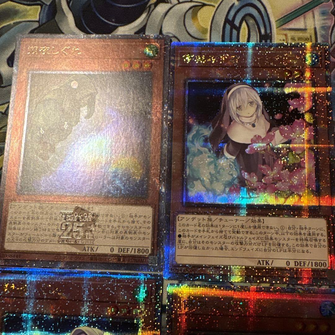 遊戯王　手札誘発25thセット　わらし　さくら　しぐれ　うさぎ　みずき