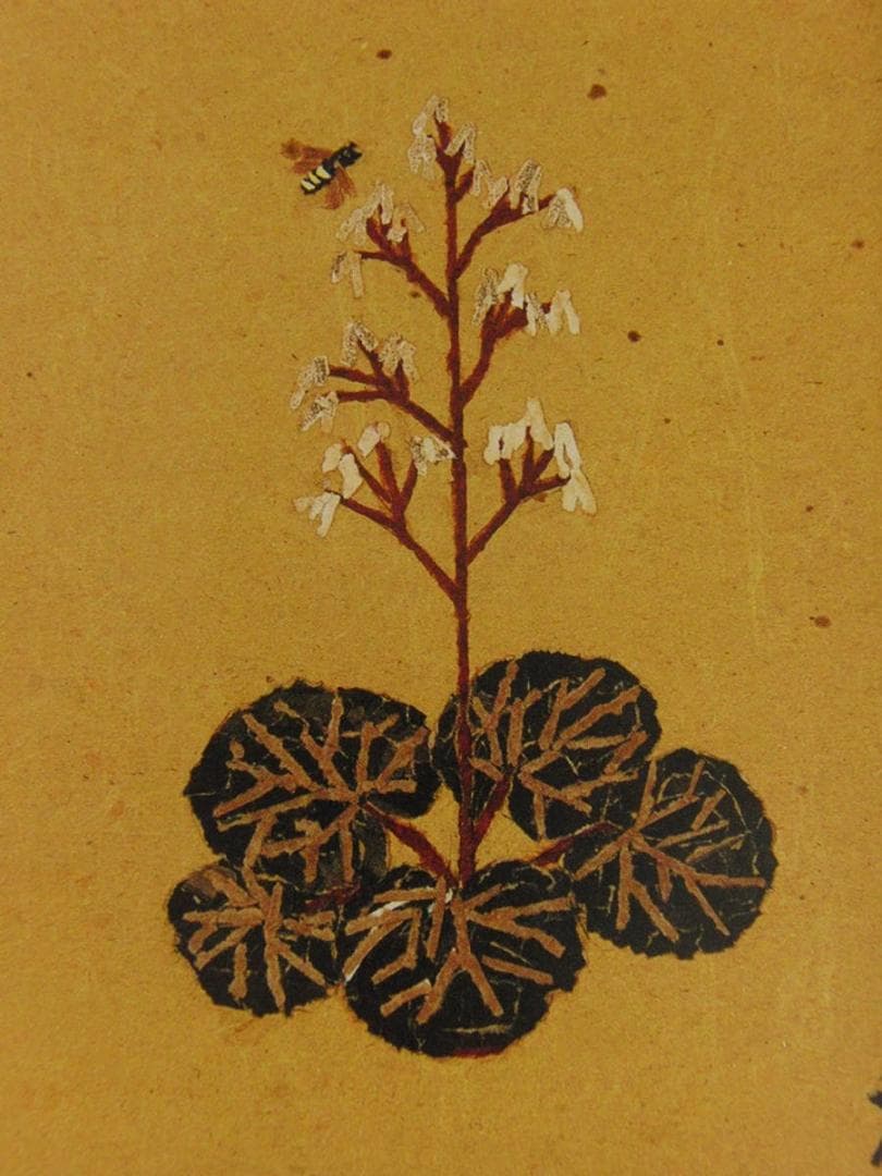 山下清、【ゆきのしたと蜂】、希少な額装用画集より、美品、日本人画家、新品額装付