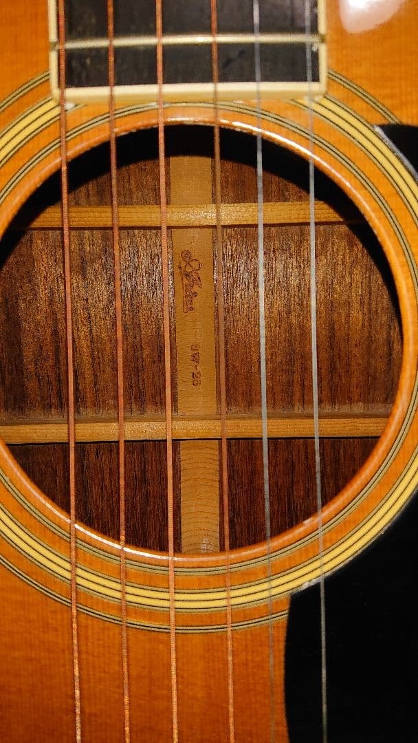 ☆激レア美品 Ariaアリア SW-25 アコースティックギター ソフトケース付