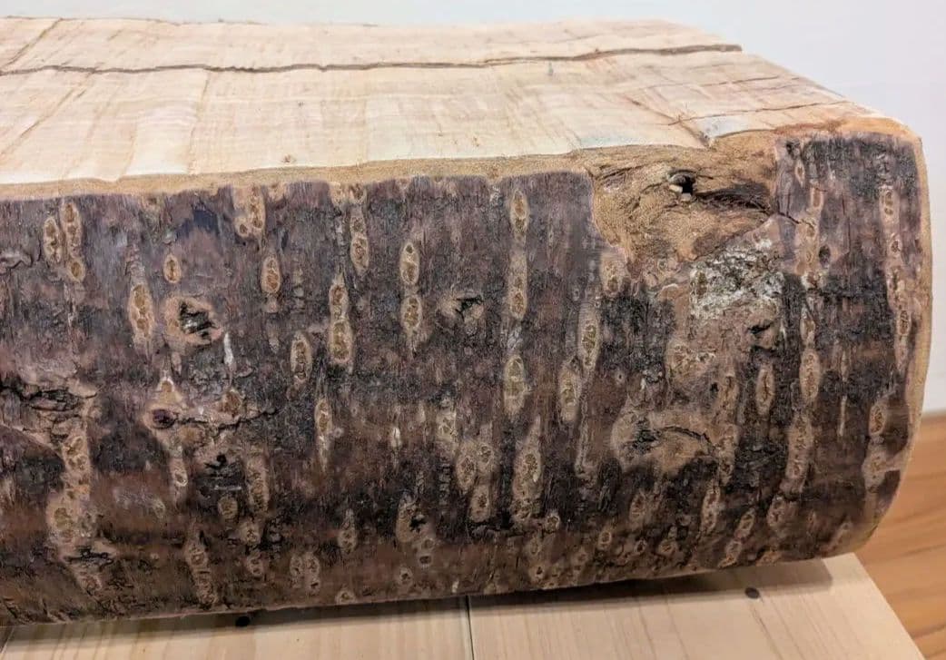 【桜の無垢材】14.3kg 極厚ブロック 樹皮付 インテリア ディスプレイ