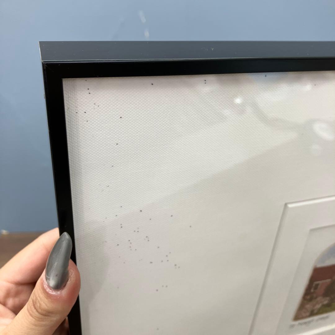 真作 チャド・コールマン 銅版画 動版十手彩 エッチング 絵画 額装 額縁