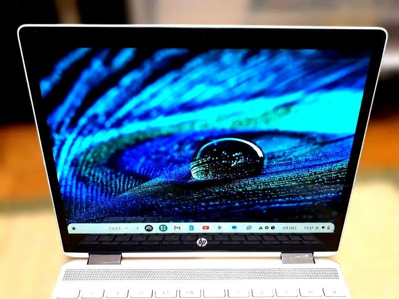Chromebook本体 HP Chromebook x360