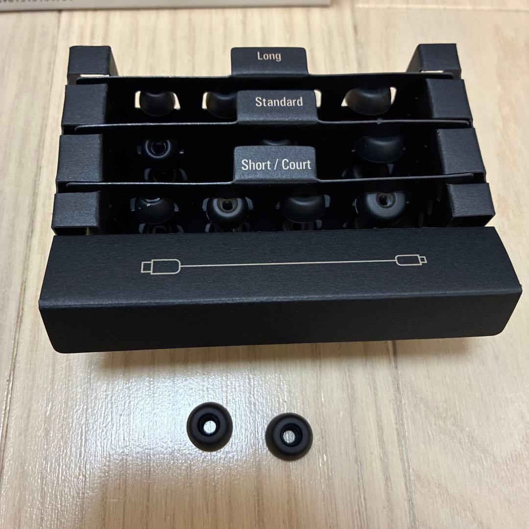 audio-technica ATH-TWX9MK2 シリコンカバー付き