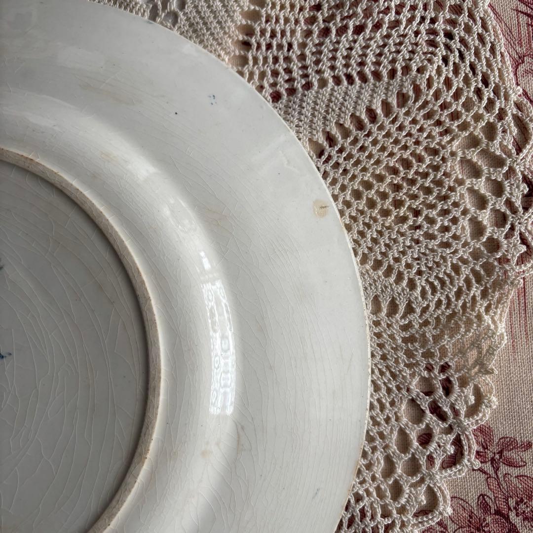 フランスアンティーク˚✧₊ ロンウィ❁ 19世紀後半 ディナープレート❁⃘ ˚✧