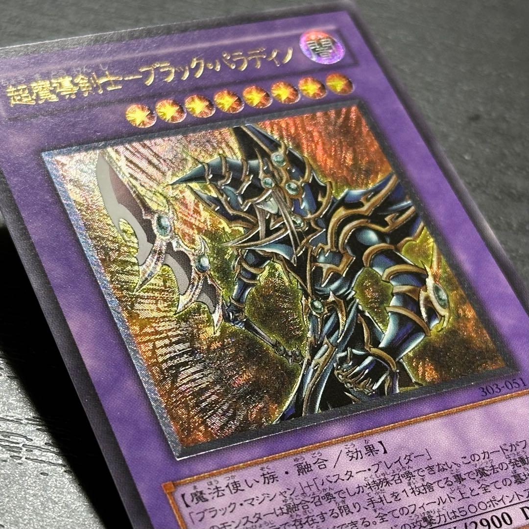 遊戯王 ブラックパラディン レリーフ