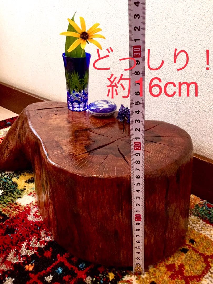 希少部位＊鮮やかな年輪ふたつ！天然楢【森と大自然の切り株ちゃぶ台】テーブル＊座卓