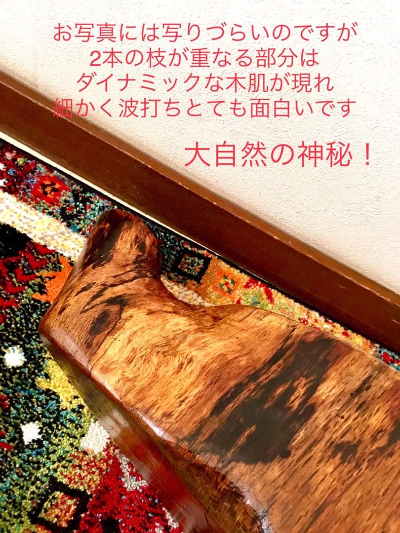 希少部位＊鮮やかな年輪ふたつ！天然楢【森と大自然の切り株ちゃぶ台】テーブル＊座卓