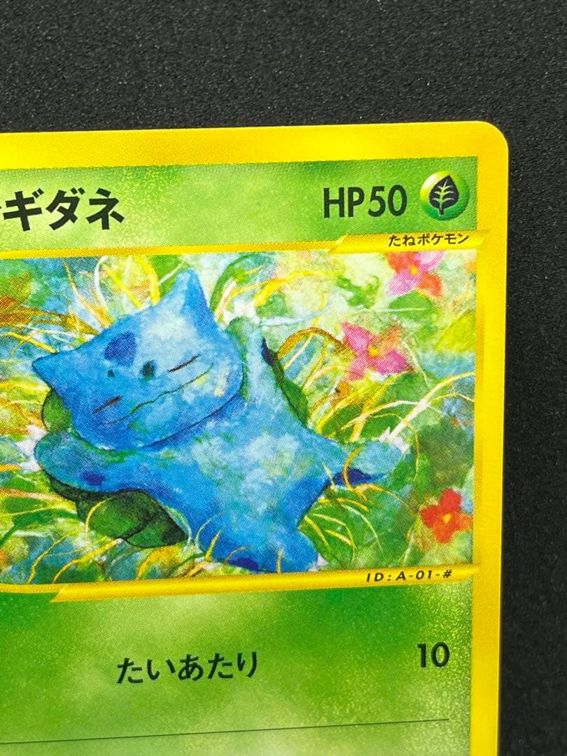 フシギダネ eカード 001/029 スターターパック 初期 Bulbasaur