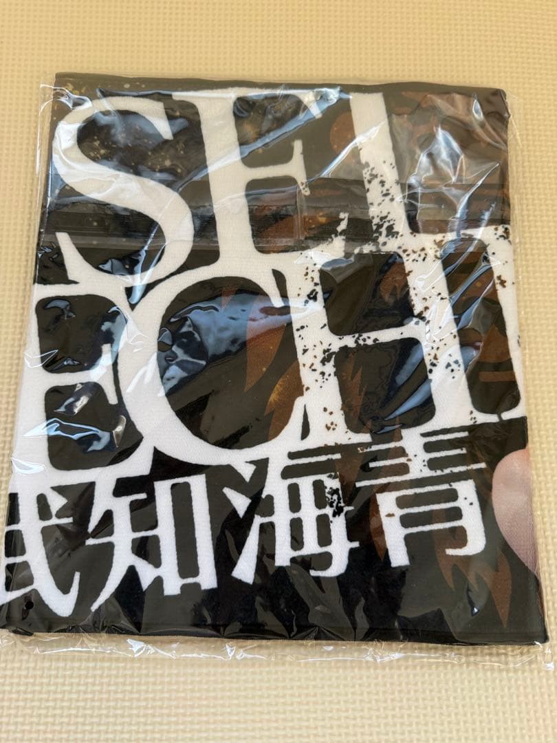 武知海青 プロレス応援ビジュアルタオル 第2弾