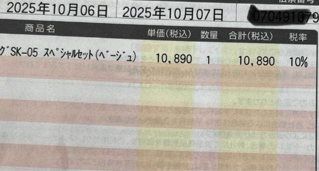 集音器 SK-05 充電器・イヤーチップ付属