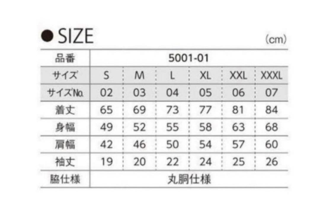 sum41 Tシャツ　Lサイズ