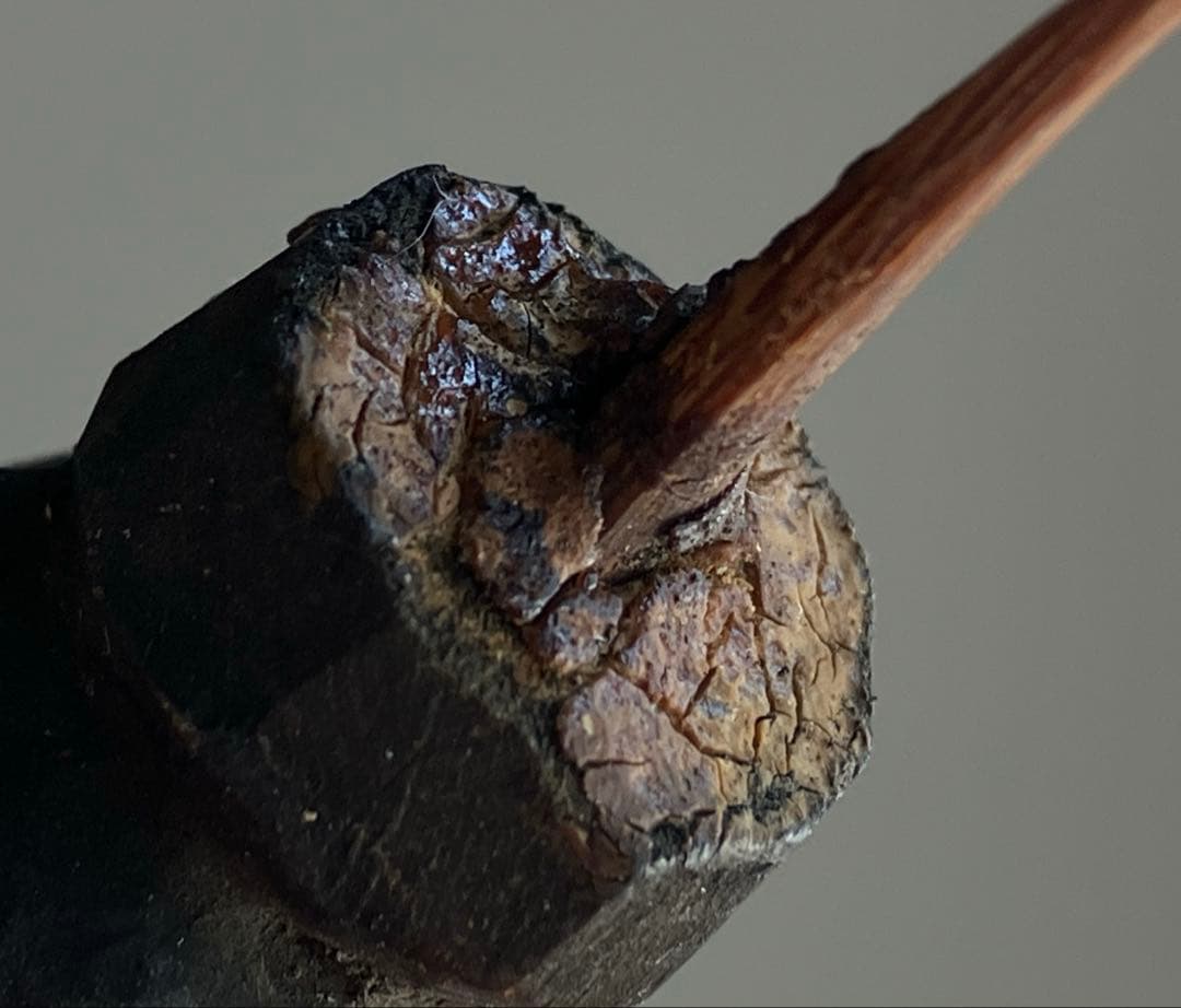 【未だ曇らずも 古い木彫仏頭 約4㎝ 江戸期頃 残欠】地方民間信仰 仏像 骨董