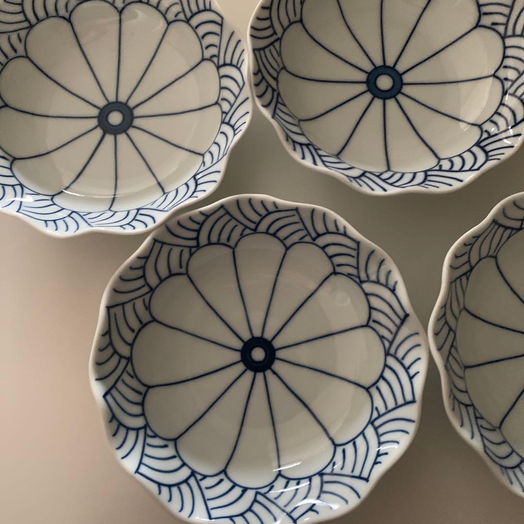 【お値下げ】菊割青海波 12.5ｃｍ 5個セット