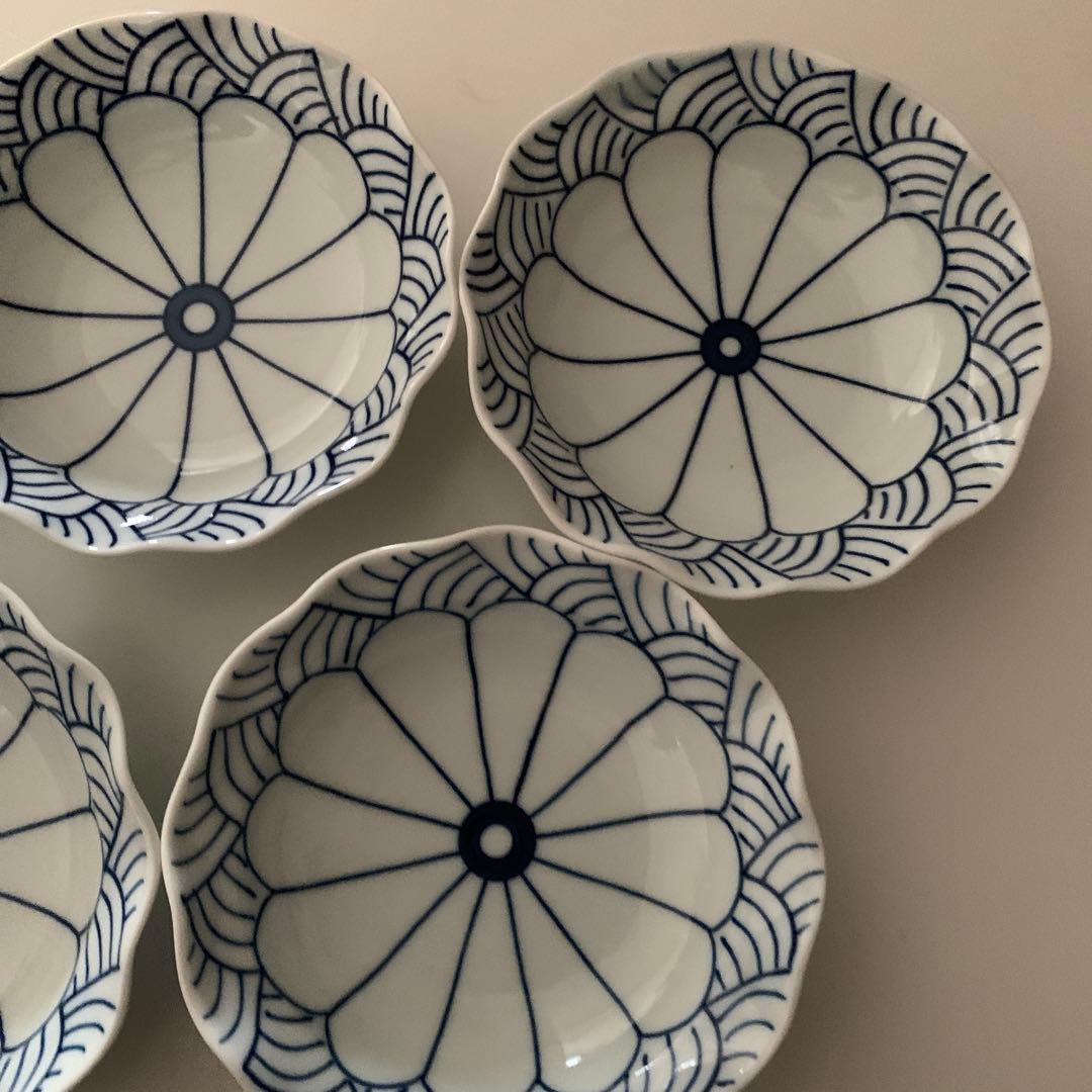 【お値下げ】菊割青海波 12.5ｃｍ 5個セット