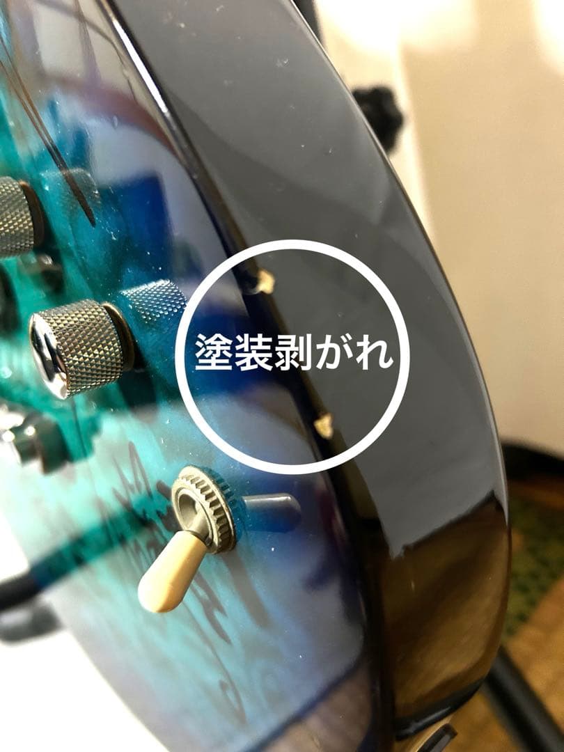 エレキギター FERNANDES APG-65 HAGANEメンバーサイン入り