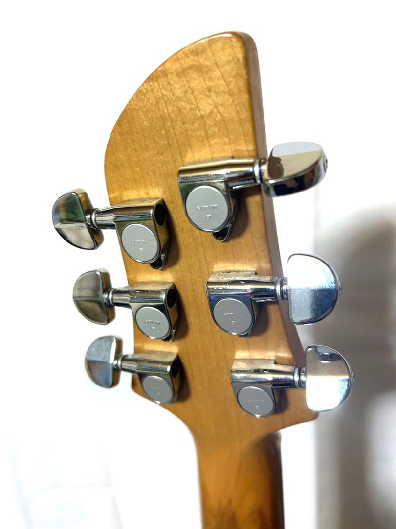 エレキギター FERNANDES APG-65 HAGANEメンバーサイン入り