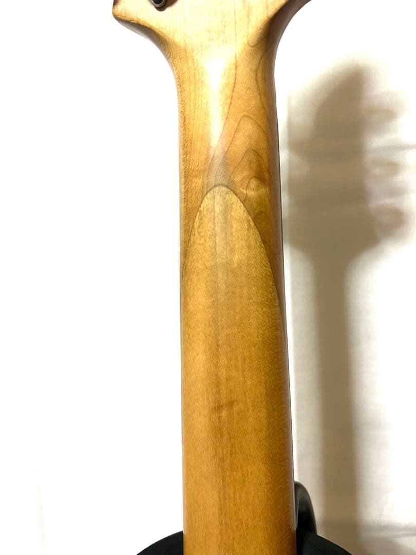 エレキギター FERNANDES APG-65 HAGANEメンバーサイン入り