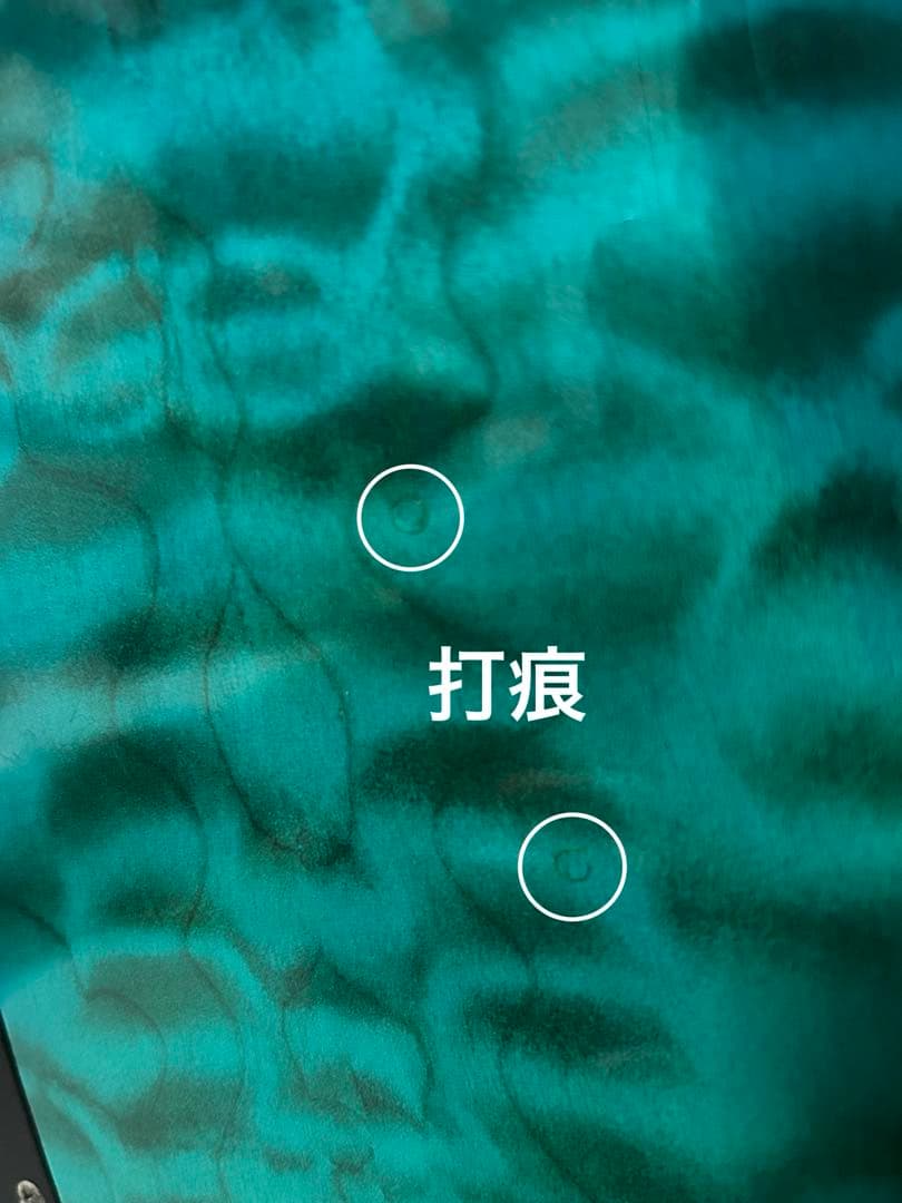 エレキギター FERNANDES APG-65 HAGANEメンバーサイン入り