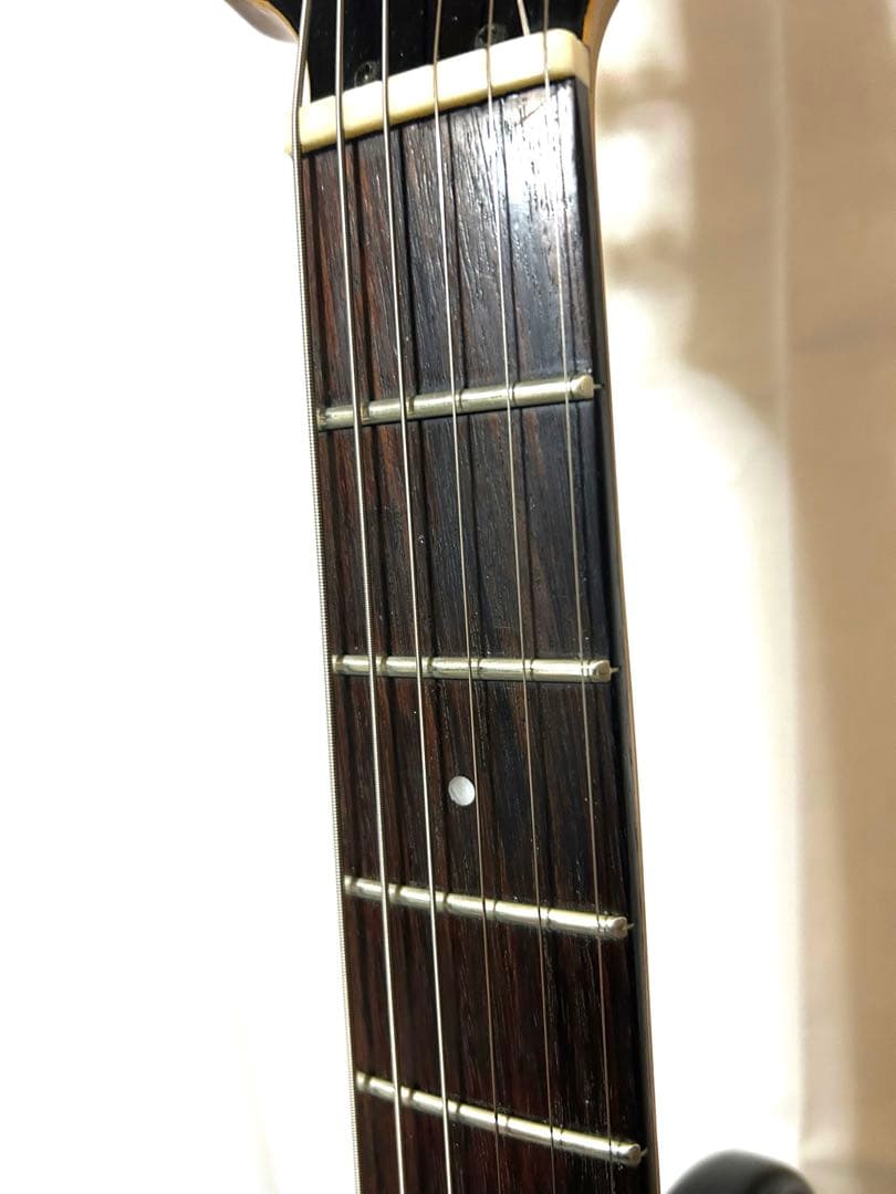 エレキギター FERNANDES APG-65 HAGANEメンバーサイン入り