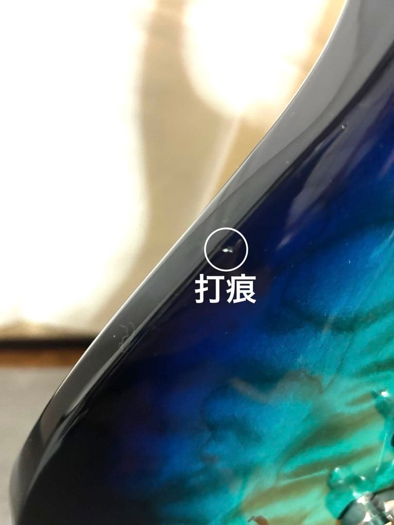 エレキギター FERNANDES APG-65 HAGANEメンバーサイン入り