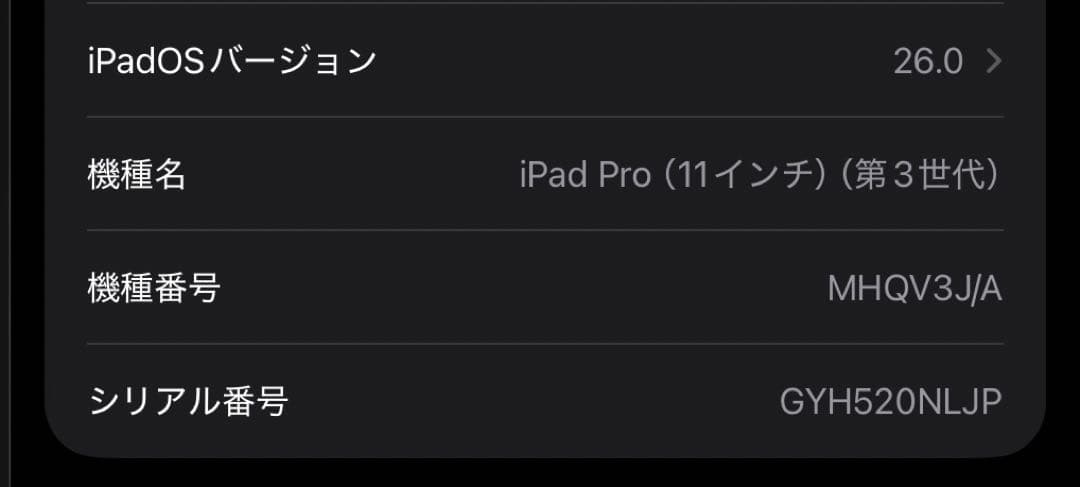 iPad Pro 11インチ（第3世代）Wi-Fiモデル 256GB
