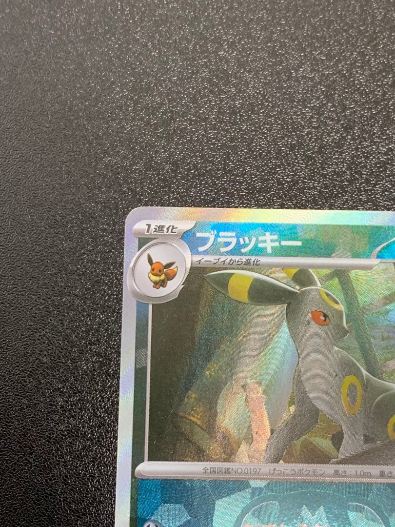 ブラッキー SV8a テラスタルフェスex マスターボールミラー 092/187