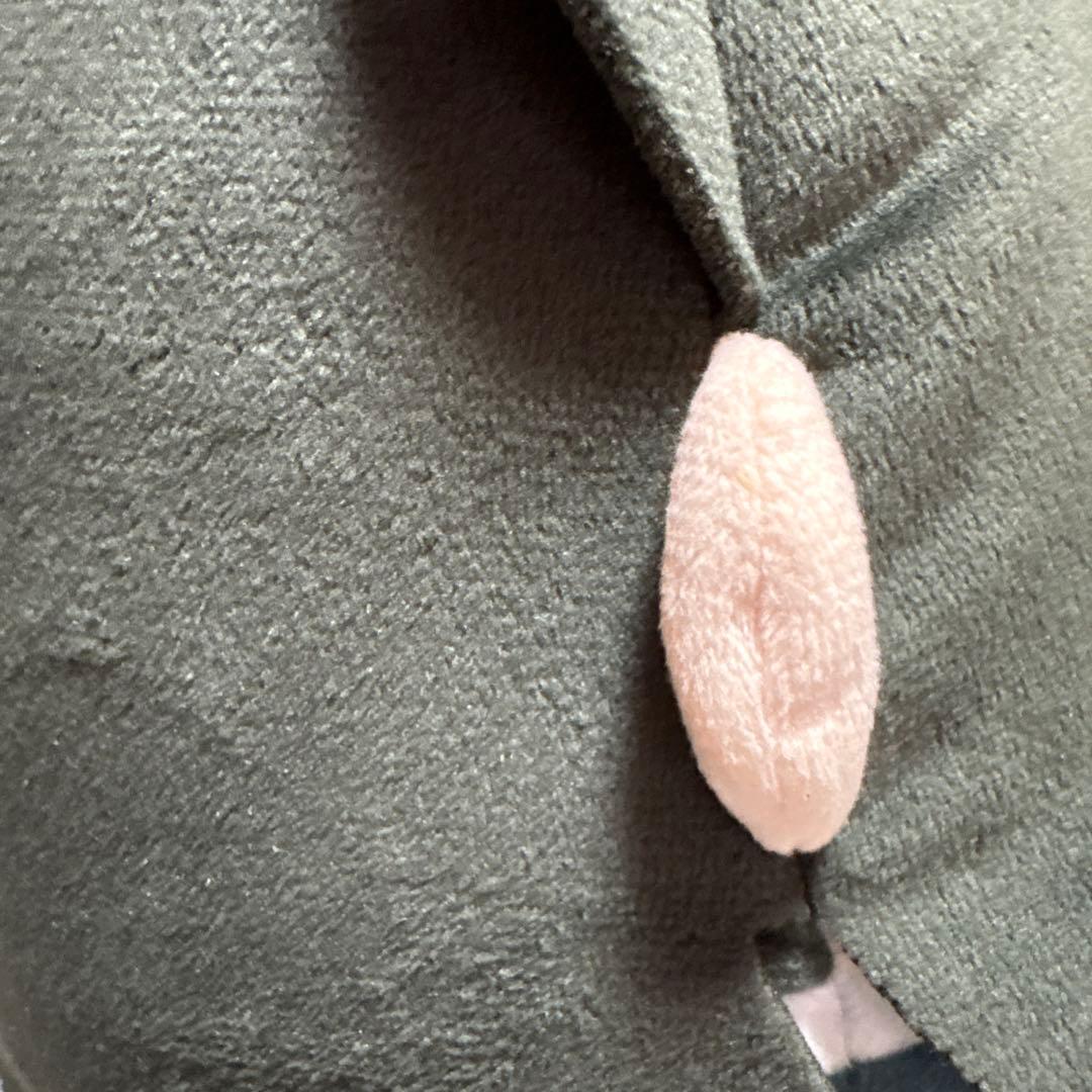 鬼滅の刃　ふわコロりんビッグ　時透無一郎